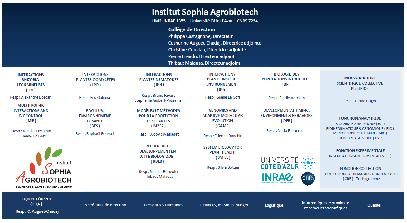 Organigramme ISA 2024