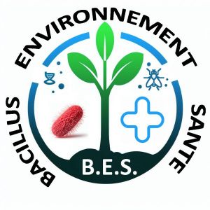 Logo BES