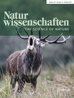 Naturwissenschaften - Oct 2014