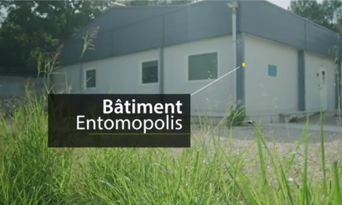 Bâtiment Entomopolis